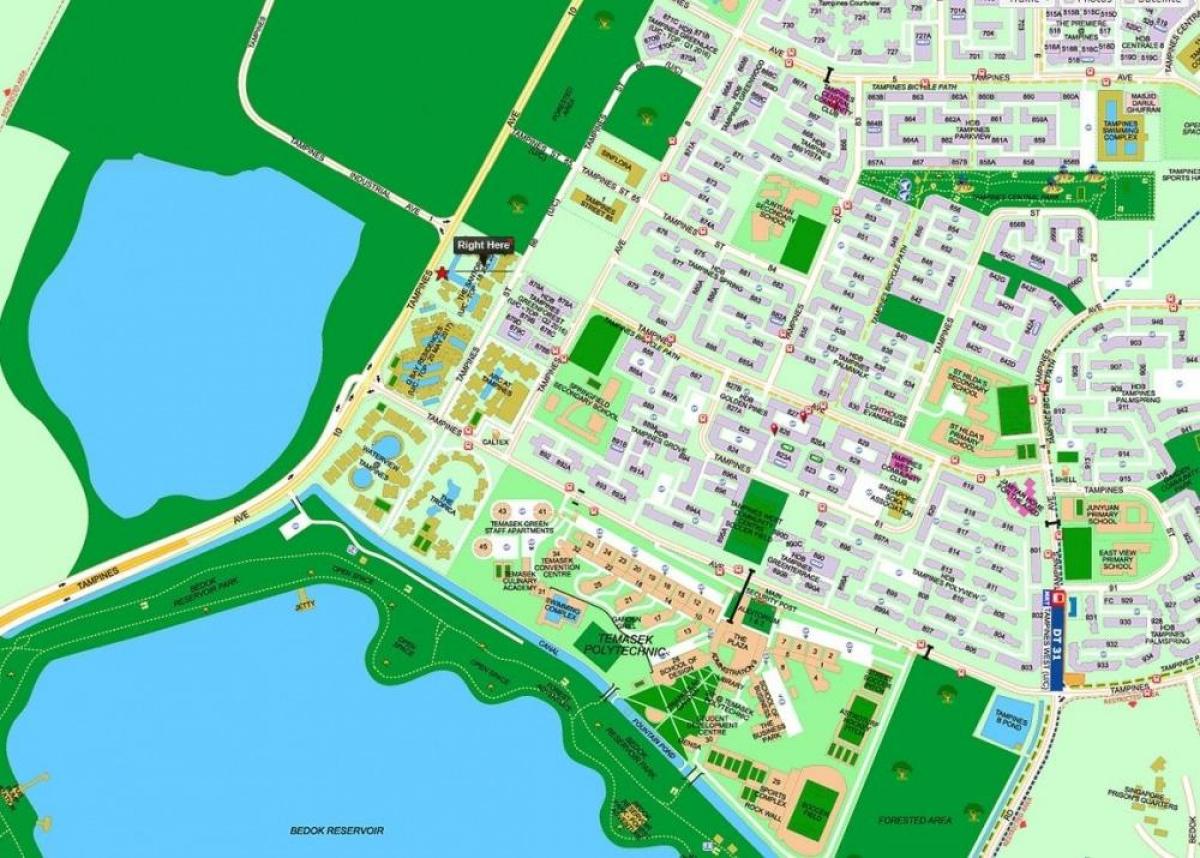 خريطة tampines سنغافورة