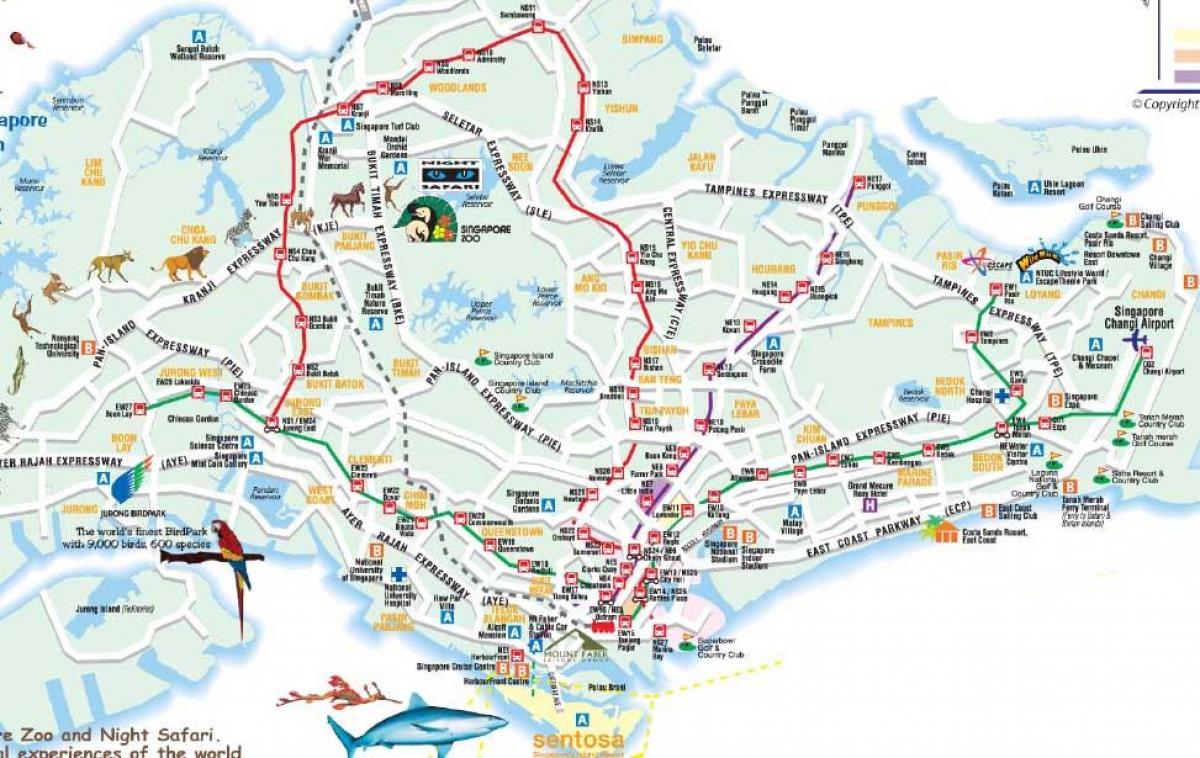 خريطة الطريق من سنغافورة
